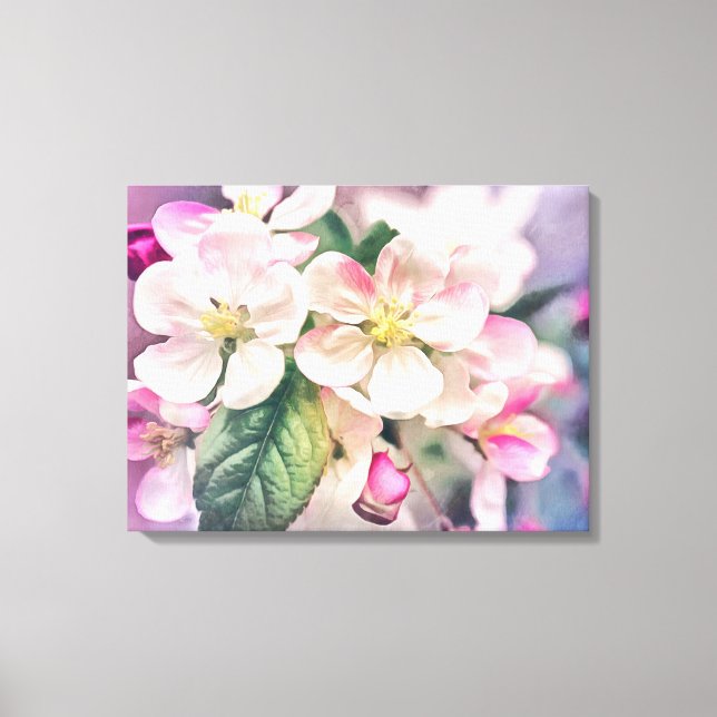 Apple blossom Stretched Canvas Print (Front)