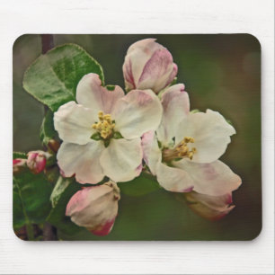 Apple Blossom Time Mouse Mat