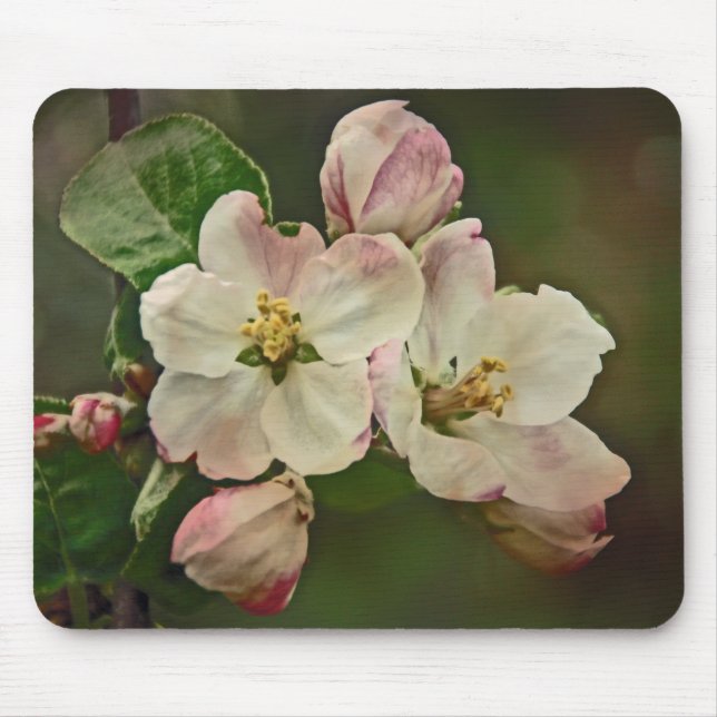 Apple Blossom Time Mouse Mat (Front)