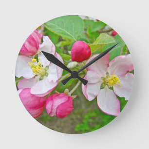 Apple Blossom Time Round Clock
