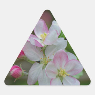 Apple Blossom Triangle Sticker