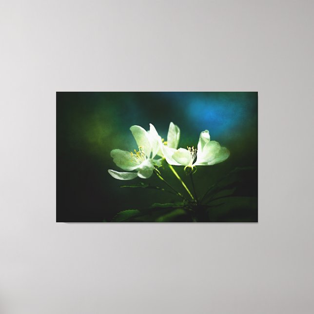Apple Blossom - Two Flowers Canvas Print (Front)