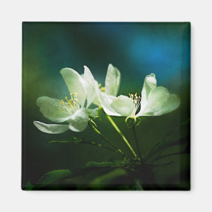 Apple Blossom - Two Flowers Magnet