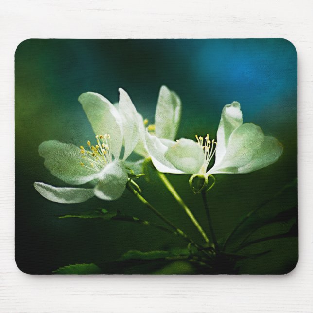 Apple Blossom - Two Flowers Mouse Mat (Front)