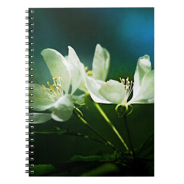 Apple Blossom - Two Flowers Notebook (Front)