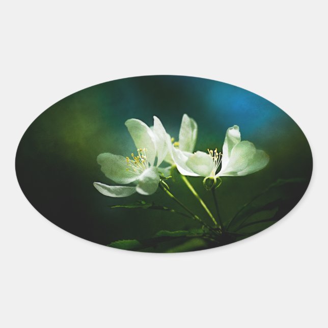 Apple Blossom - Two Flowers Oval Sticker (Front)