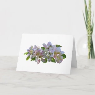 Apple Blossoms Card