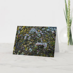 Apple Blossoms Card