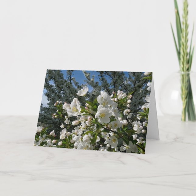 Apple Blossoms Card (Front)