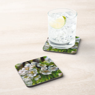 Apple Blossoms Coaster
