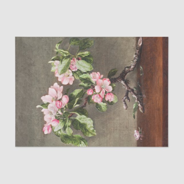  Apple Blossoms Decoupage Tissue Paper (Front)