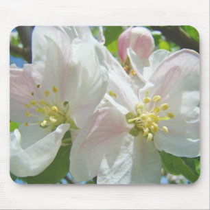 Apple Blossoms mousepad quality Spring Flowers