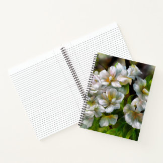 Apple Blossoms Notebook