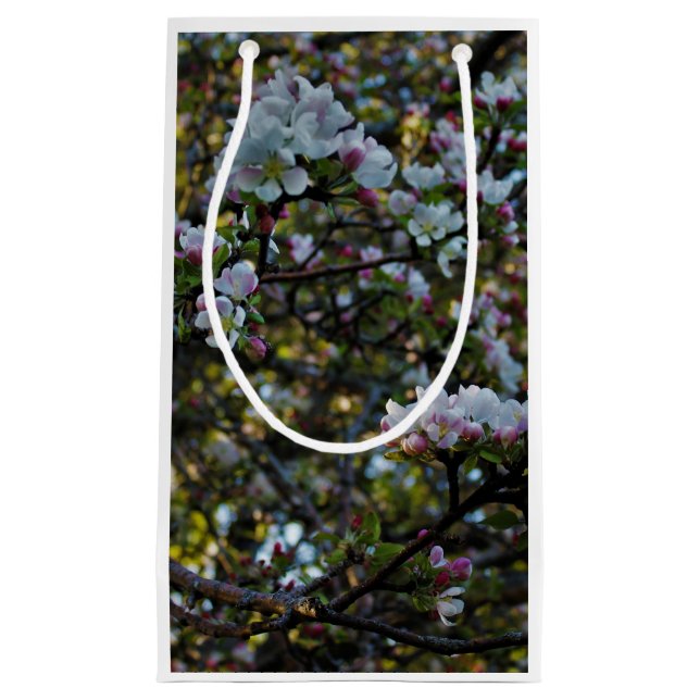 Apple Blossoms Small Gift Bag (Front)