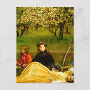Apple Blossoms Spring Fine Art Postcard