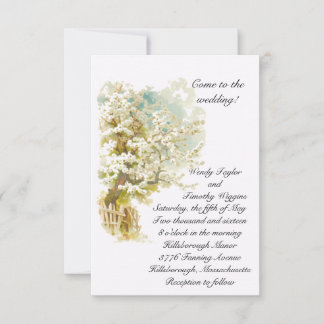Apple Blossoms Wedding Invitation