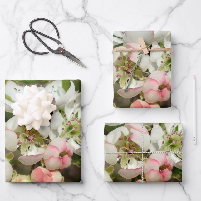 Apple buds flower wrapping paper sheet (Front)