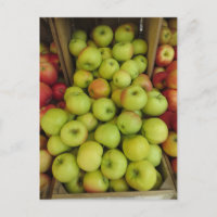 Apple Bundle