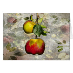 Apple Card