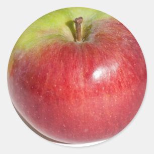 Apple Classic Round Sticker