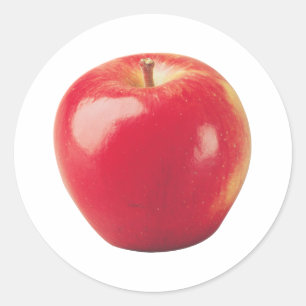 Apple Classic Round Sticker
