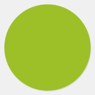 Apple green (solid colour) classic round sticker