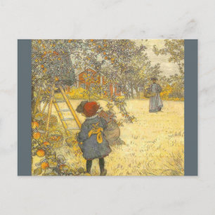 Apple Harvest by Carl Larsson Postcard