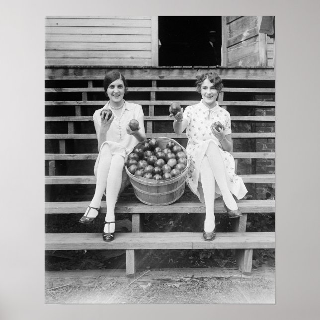 Apple Harvest Girls, 1927. Vintage Photo Poster (Front)