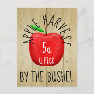 Apple Harvest Vintage Sign Postcard