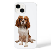 Apple iPhone 14 case with King Charles Cavalier