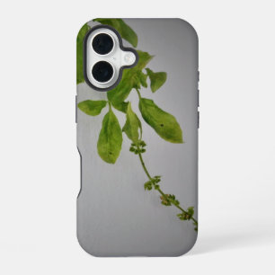 apple iphone 16 case style and design
