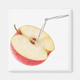 Apple juice magnet