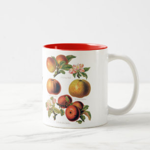 Apple Mug (You can customise)