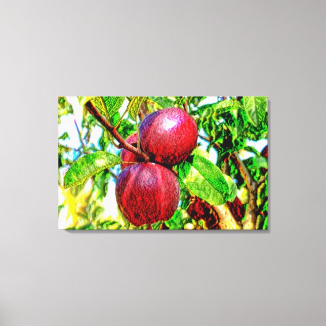 Apple of My Eye Drawing Artwork on Canvas Print (Front)