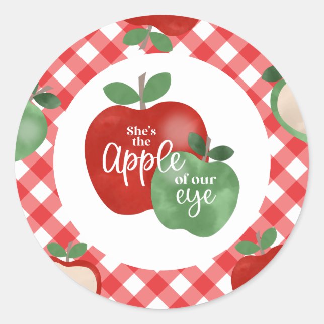 Apple of our Eye 1st Birthday Classic Round Sticker (Front)