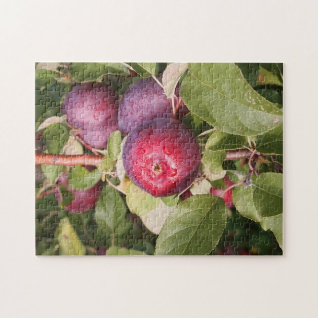 Apple Orchards Vermont. Jigsaw Puzzle (Horizontal)