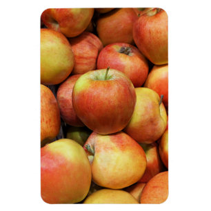 Apple Photo Magnet