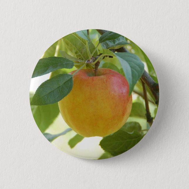 Apple Prima 6 Cm Round Badge (Front)