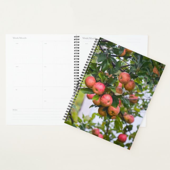 Apple Sauce Calendar Planner (Display)