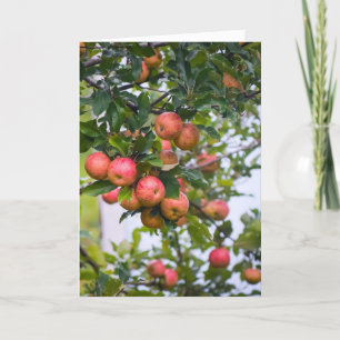 Apple Sauce Recipe Holiday Card