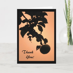 Apple Sunset Thank You Card