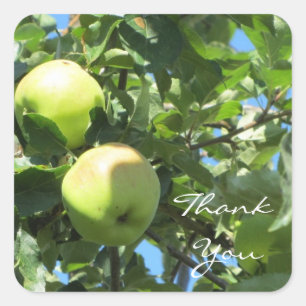 Apple Thank You Square Sticker