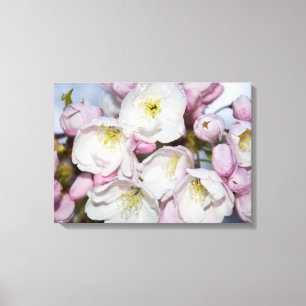 Apple Tree Blooms on a Blue Sky Photo Block Acryl Canvas Print