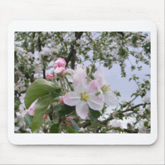 apple-tree blossom mouse mat