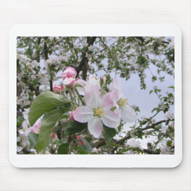 apple-tree blossom mouse mat (Front)