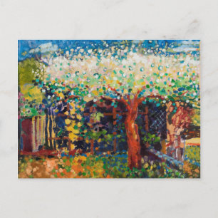 Apple Tree Blossom Postcard