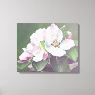 Apple Tree Blossom Spring Canvas Wall Art