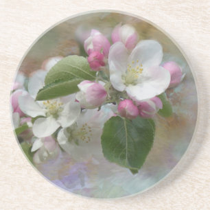 Apple Tree Blossoms Coaster