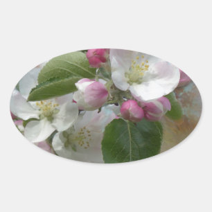Apple Tree Blossoms Oval Sticker