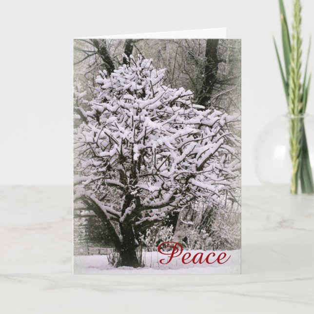Apple tree covered in snow holiday card (Front)